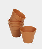 Planter Seers